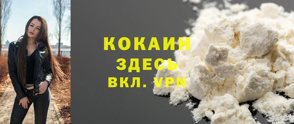 прущий лед Алзамай