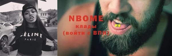 прущий лед Алзамай