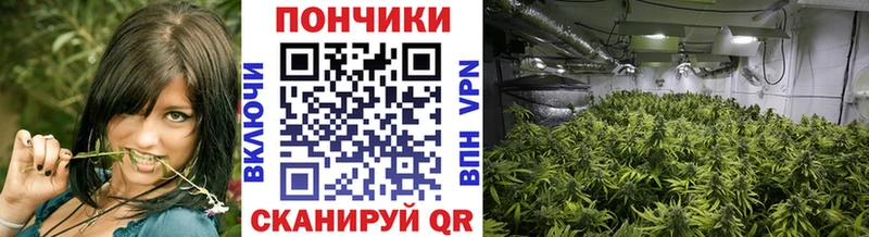 наркотики  Моздок  Бошки марихуана VHQ 